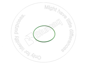 MA06569362969 ST КОЛЬЦО КРУГЛОГО СЕЧЕНИЯ