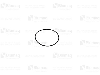 5I7744 ST КОЛЬЦО КРУГЛОГО СЕЧЕНИЯ