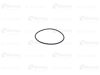 1978006 ST КОЛЬЦО КРУГЛОГО СЕЧЕНИЯ