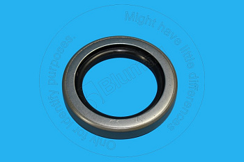 2694739 ST САЛЬНИК