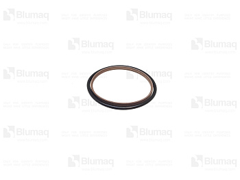 VOE15145966 BQ PISTON ROD SEAL
