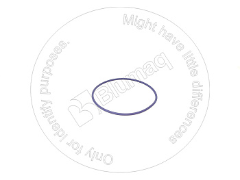 2793397 BQ КОЛЬЦО КРУГЛОГО СЕЧЕНИЯ