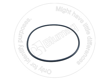 0700006250 ST КОЛЬЦО КРУГЛОГО СЕЧЕНИЯ