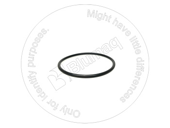 2308918 ST КОЛЬЦО КРУГЛОГО СЕЧЕНИЯ