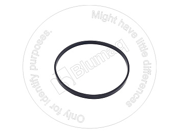 3F1962 ST КОЛЬЦО КРУГЛОГО СЕЧЕНИЯ