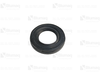 3E6748 ST САЛЬНИК