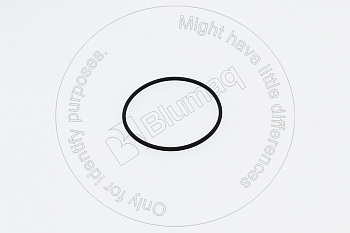 1124705 ST КОЛЬЦО КРУГЛОГО СЕЧЕНИЯ