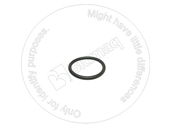 818413 BQ КОЛЬЦО КРУГЛОГО СЕЧЕНИЯ