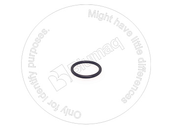 1698416 ST КОЛЬЦО КРУГЛОГО СЕЧЕНИЯ