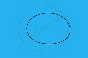 2238512 ST КОЛЬЦО КРУГЛОГО СЕЧЕНИЯ