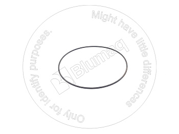389264681R1 OR КОЛЬЦО КРУГЛОГО СЕЧЕНИЯ