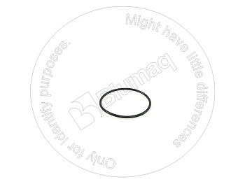 0951631 ST КОЛЬЦО КРУГЛОГО СЕЧЕНИЯ