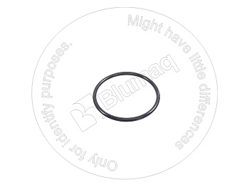0700013055 OR КОЛЬЦО КРУГЛОГО СЕЧЕНИЯ