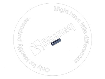 950889 OR PIN,SPRING