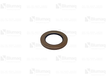 5S4433 ST САЛЬНИК