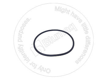 5P6619 ST КОЛЬЦО КРУГЛОГО СЕЧЕНИЯ