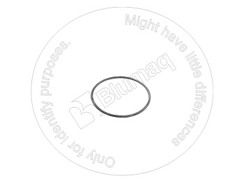 23264112213 OR КОЛЬЦО КРУГЛОГО СЕЧЕНИЯ