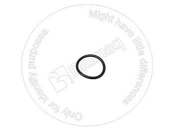7082L24620 BQ КОЛЬЦО КРУГЛОГО СЕЧЕНИЯ