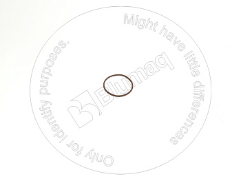 336031 ST КОЛЬЦО КРУГЛОГО СЕЧЕНИЯ