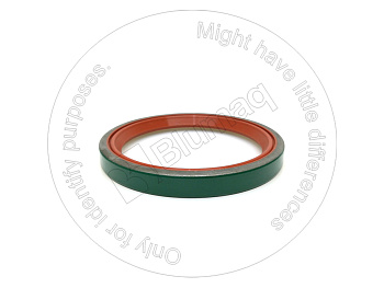 9N2539 ST САЛЬНИК