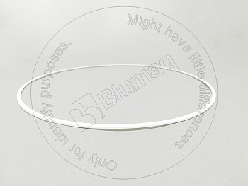 8P9569 ST СЕГМЕНТ