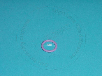 VOE466922 OE САЛЬНИК