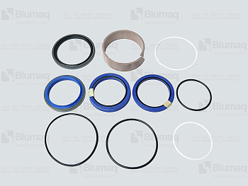 6066124 BQ SEAL KT