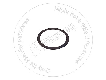 20K2231730 OE SHIM RING