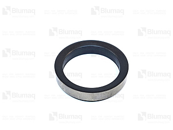 5795760 BQ INSERT-V S