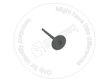 6204414110 ST VALVULA ADMISIO