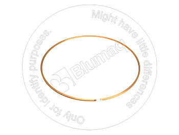 1951549281 ST СЕГМЕНТ