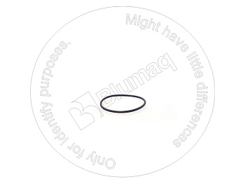 8C3079 BQ КОЛЬЦО КРУГЛОГО СЕЧЕНИЯ