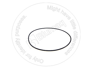 0700015340 ST КОЛЬЦО КРУГЛОГО СЕЧЕНИЯ