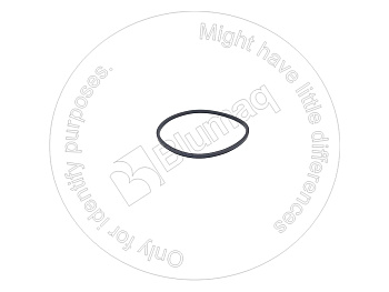 BQ3256603 ST САЛЬНИК