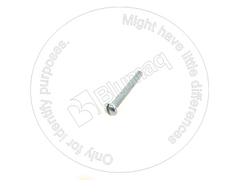 5S7347 OE БОЛТ
