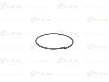 VOE17483041 BQ SEALING RING