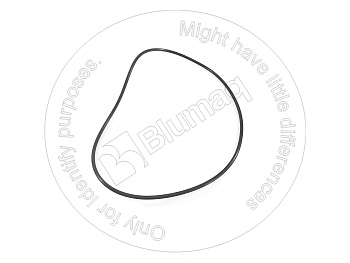 0700015305 ST КОЛЬЦО КРУГЛОГО СЕЧЕНИЯ