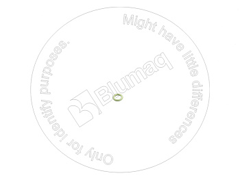 4894095 OR УПЛОТНИТЕЛЬНОЕ КОЛЬЦО