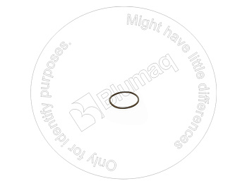 1241858 ST КОЛЬЦО КРУГЛОГО СЕЧЕНИЯ