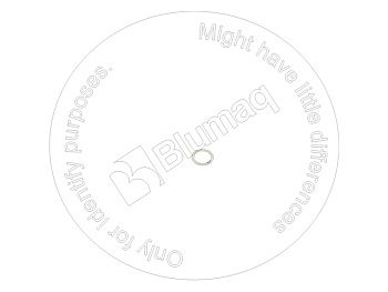 DK0293110010 OR ШАЙБА