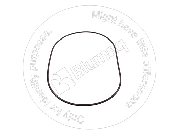 8T0098 BQ КОЛЬЦО КРУГЛОГО СЕЧЕНИЯ
