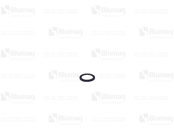 5W8027 ST САЛЬНИК