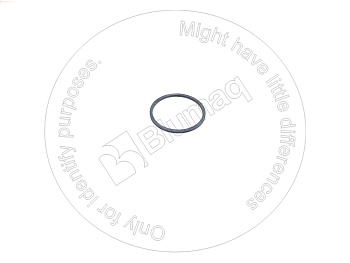 5J8009 ST САЛЬНИК