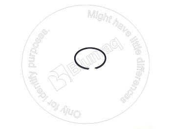 PZF855661162 OE КОЛЬЦО СТОПОРНОЕ