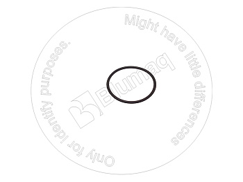 2008129 ST КОЛЬЦО КРУГЛОГО СЕЧЕНИЯ