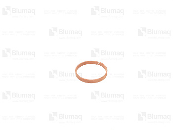 2508733 ST RING-WEAR