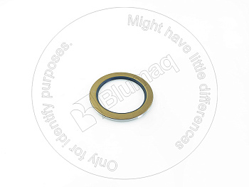 38510216841 OR САЛЬНИК