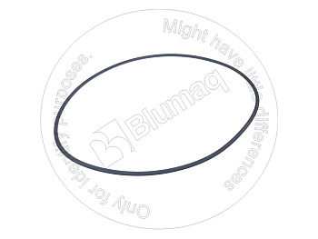 1170270 ST КОЛЬЦО КРУГЛОГО СЕЧЕНИЯ