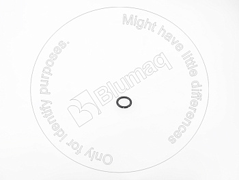 3819749511 OR КОЛЬЦО КРУГЛОГО СЕЧЕНИЯ