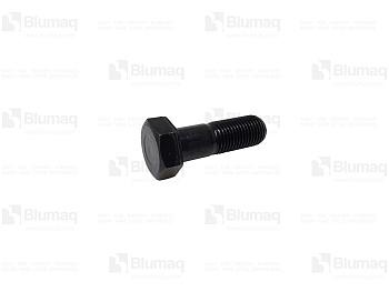 VOE11417813 ST SQUARE NECK SCREW